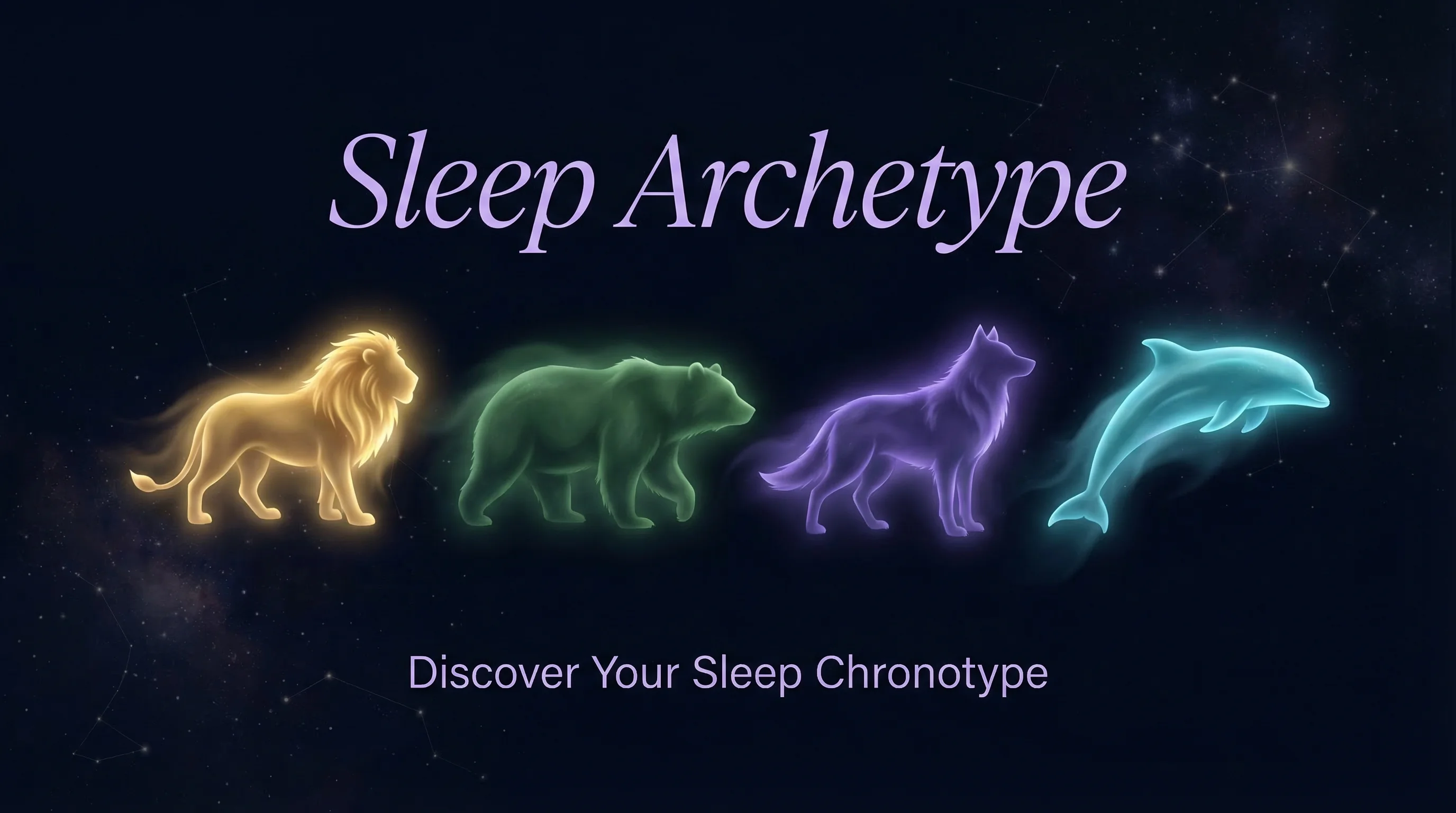 Sleep Archetype — Discover Your Sleep Chronotype